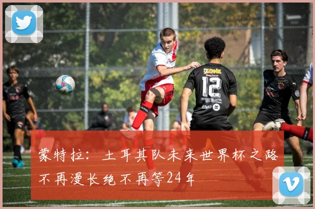 蒙特拉：土耳其队未来世界杯之路不再漫长绝不再等24年