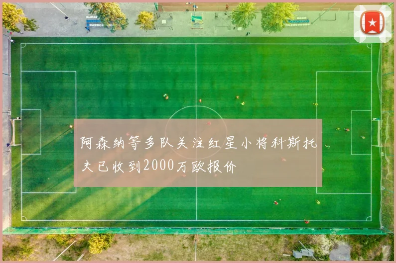 阿森纳等多队关注红星小将科斯托夫已收到2000万欧报价