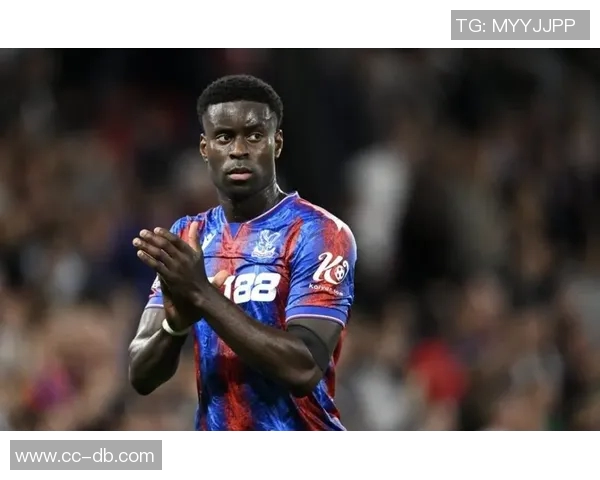 格伊向水晶宫确认将于明年离队格拉斯纳和罗马诺齐发声 格伊向水晶宫确认将于明年离队格拉斯纳和罗马诺齐发声